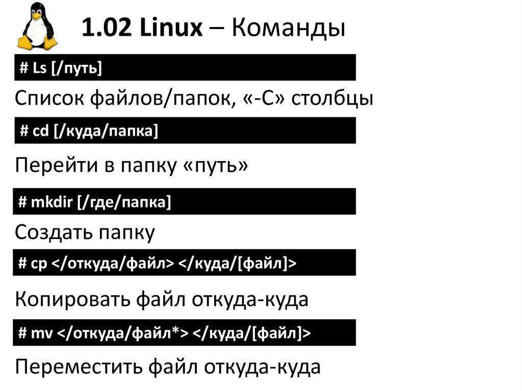 Структура каталогов (папок) файловой системы linux. linux статьи