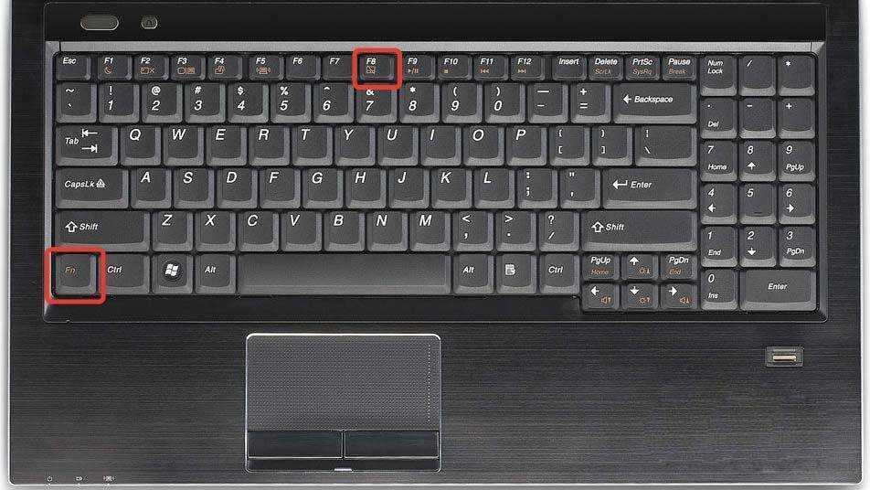 Как выключить тачпад на ноутбуке asus, hp, lenovo, dell, acer с windows 7 или 10