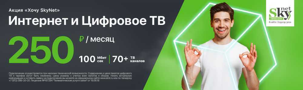 Интернет провайдер скайнет