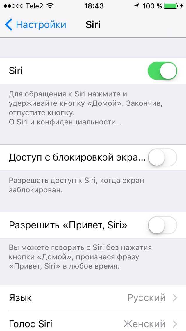 Голос за кадром на экране блокировки iphone / ipad? как разблокировать айфон если включен наложение голоса - ces 2023