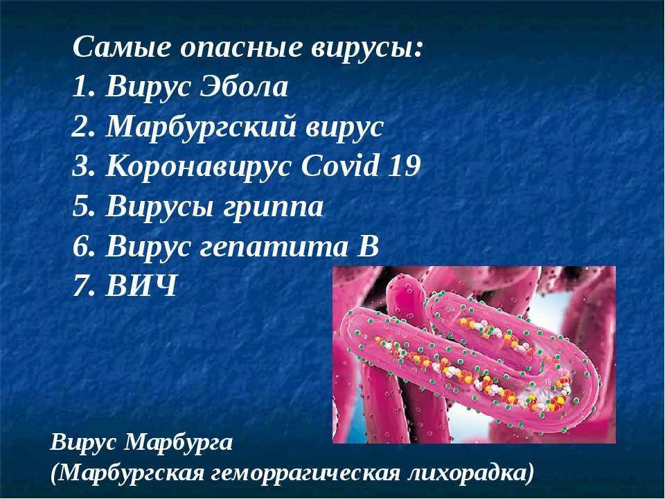 10 самых опасных вирусов и вредоносных программ в 2023