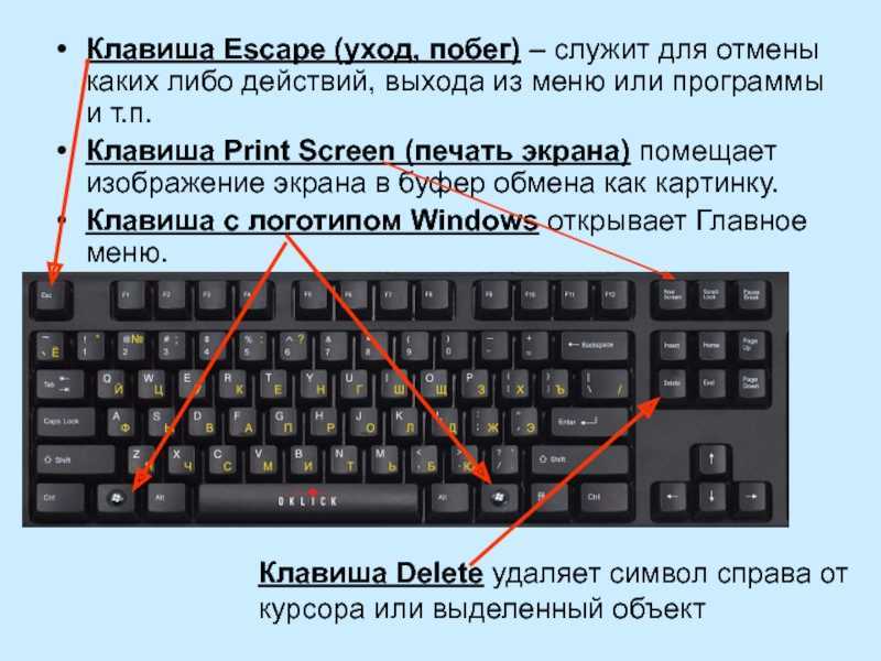 Windows 7 не работает print screen