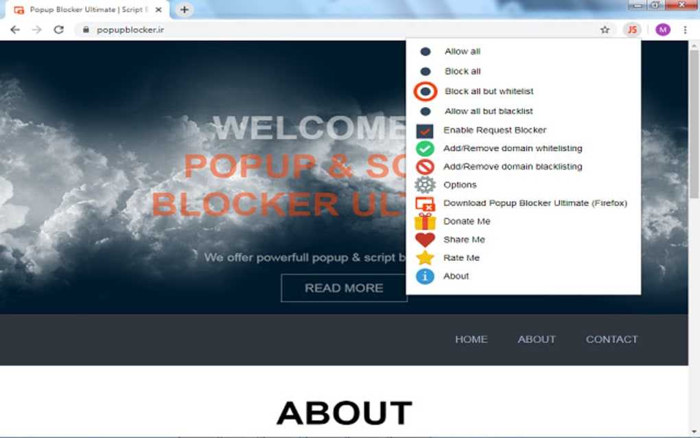 О расширении для блокировки скриптов в Google Chrome ScriptBlock