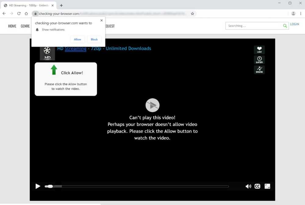 Что это за программа web companion
