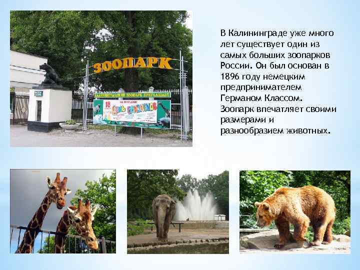 10 самых лучших зоопарков мира