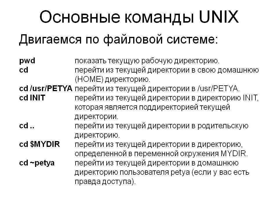 Команды linux для работы с файлами - losst