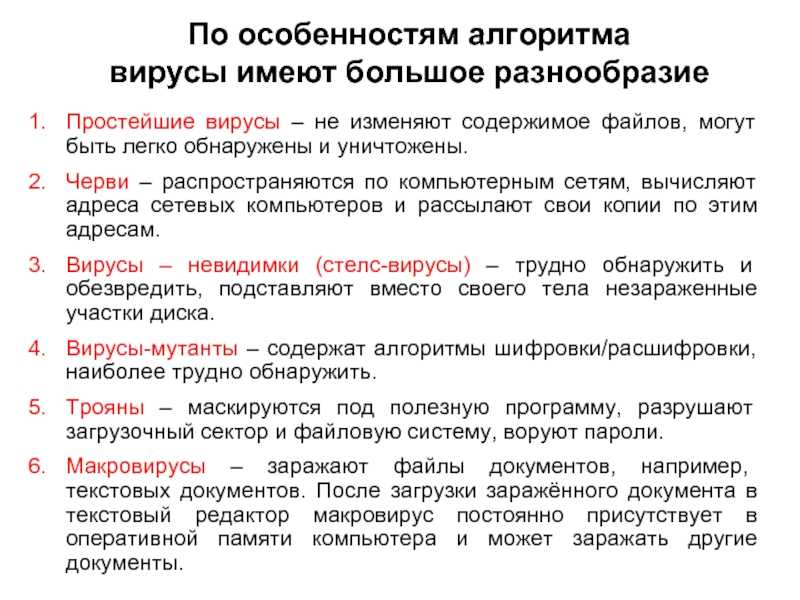 Виды компьютерных вирусов: можно ли от них защититься