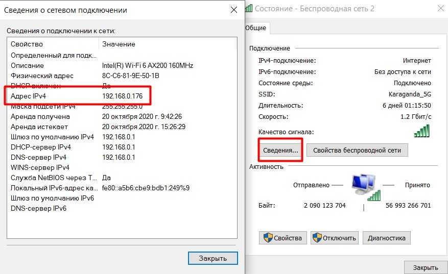 Как узнать ip адрес: что это такое, виды, локальный ip адрес