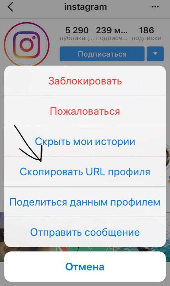 Как скопировать ссылку в инстаграме без особых трудностей