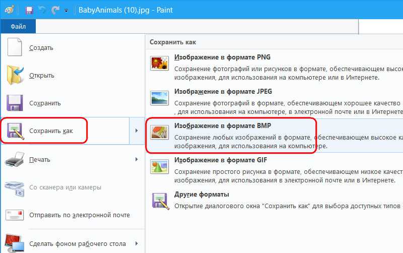 Как скачать википедию на компьютер целиком