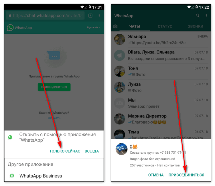 Whatsapp группы: как найти и присоединиться, как добавить нового участника