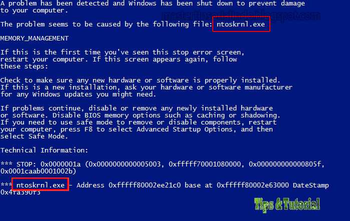 [fixed] memory management bsod error on windows 10/11