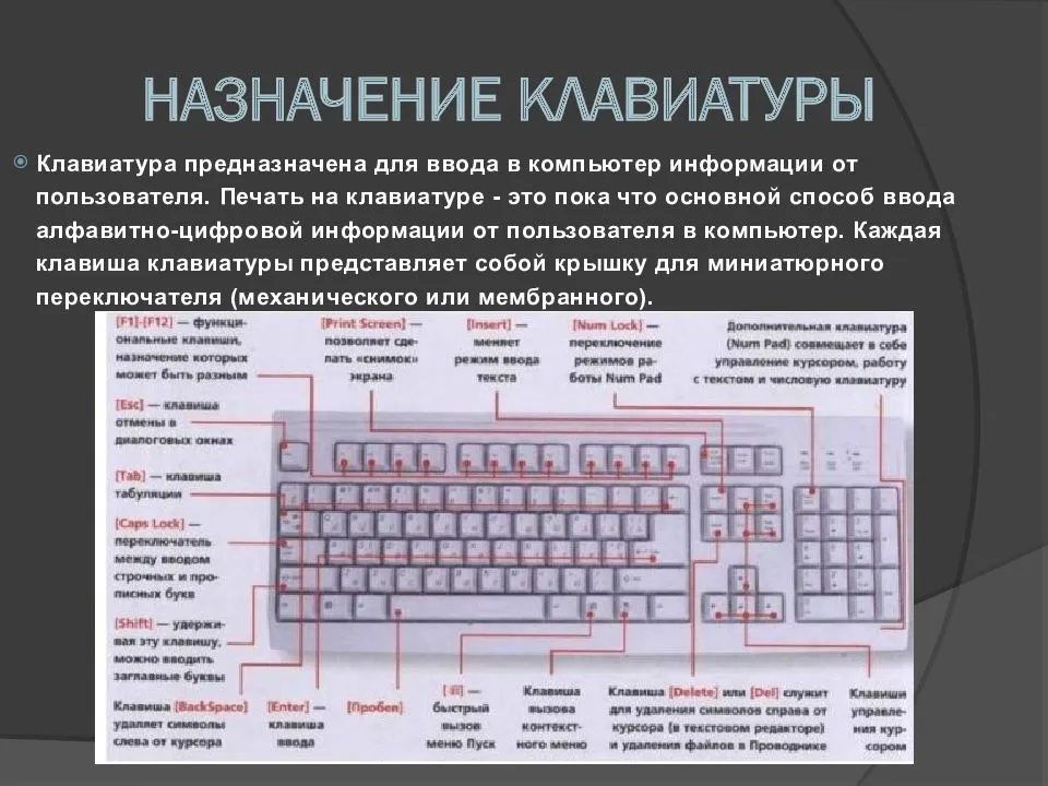 Назначение клавиш клавиатуры компьютера. описание