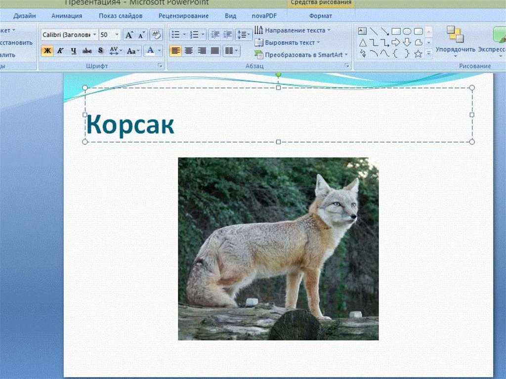 Как сделать презентацию на компьютере для чайников