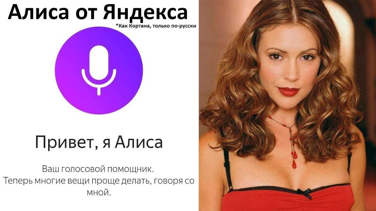 Яндекс алиса на компьютер
