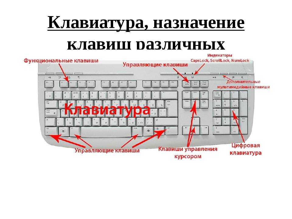 Как защитить свой компьютер от кейлоггера | сеть без проблем