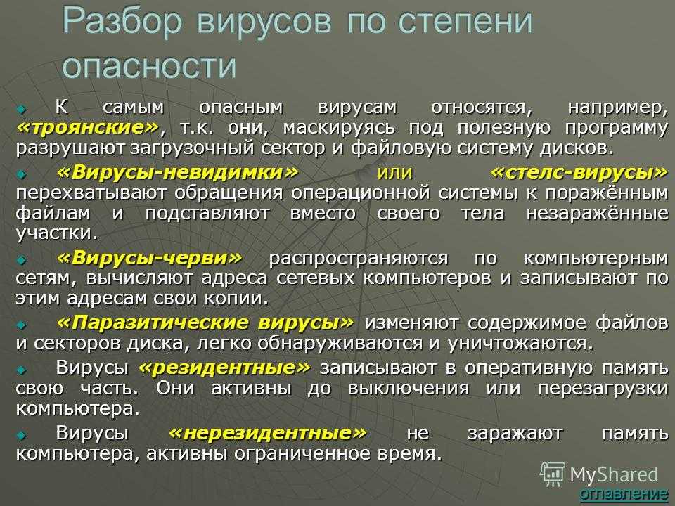Виды компьютерных вирусов: можно ли от них защититься