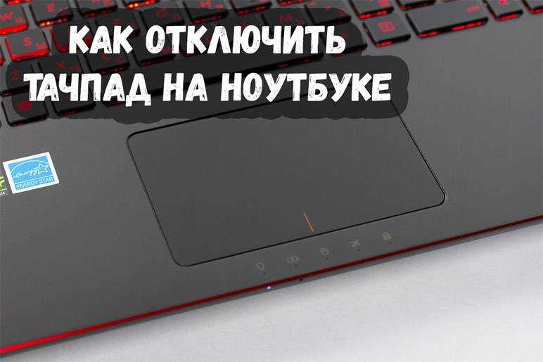 Как отключить тачпад на ноутбуке: разные способы